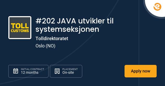 #202 JAVA utvikler til systemseksjo...